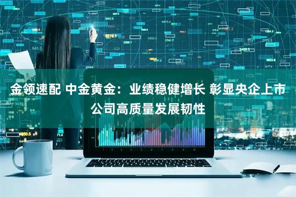 金领速配 中金黄金：业绩稳健增长 彰显央企上市公司高质量发展韧性