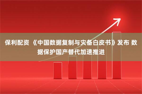 保利配资 《中国数据复制与灾备白皮书》发布 数据保护国产替代加速推进
