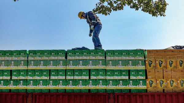 华盈策略 半年盘点｜上半年啤酒股业绩分化局势复杂，业内忙出圈业外忙入局