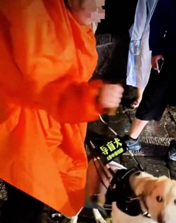 杠杆配资网 大连市残联回应“陪盲人夜爬泰山导盲犬近况”：确实已被接回基地，状态挺好的