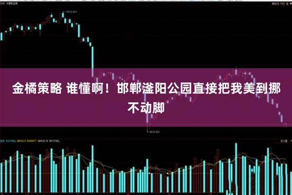 金橘策略 谁懂啊！邯郸滏阳公园直接把我美到挪不动脚